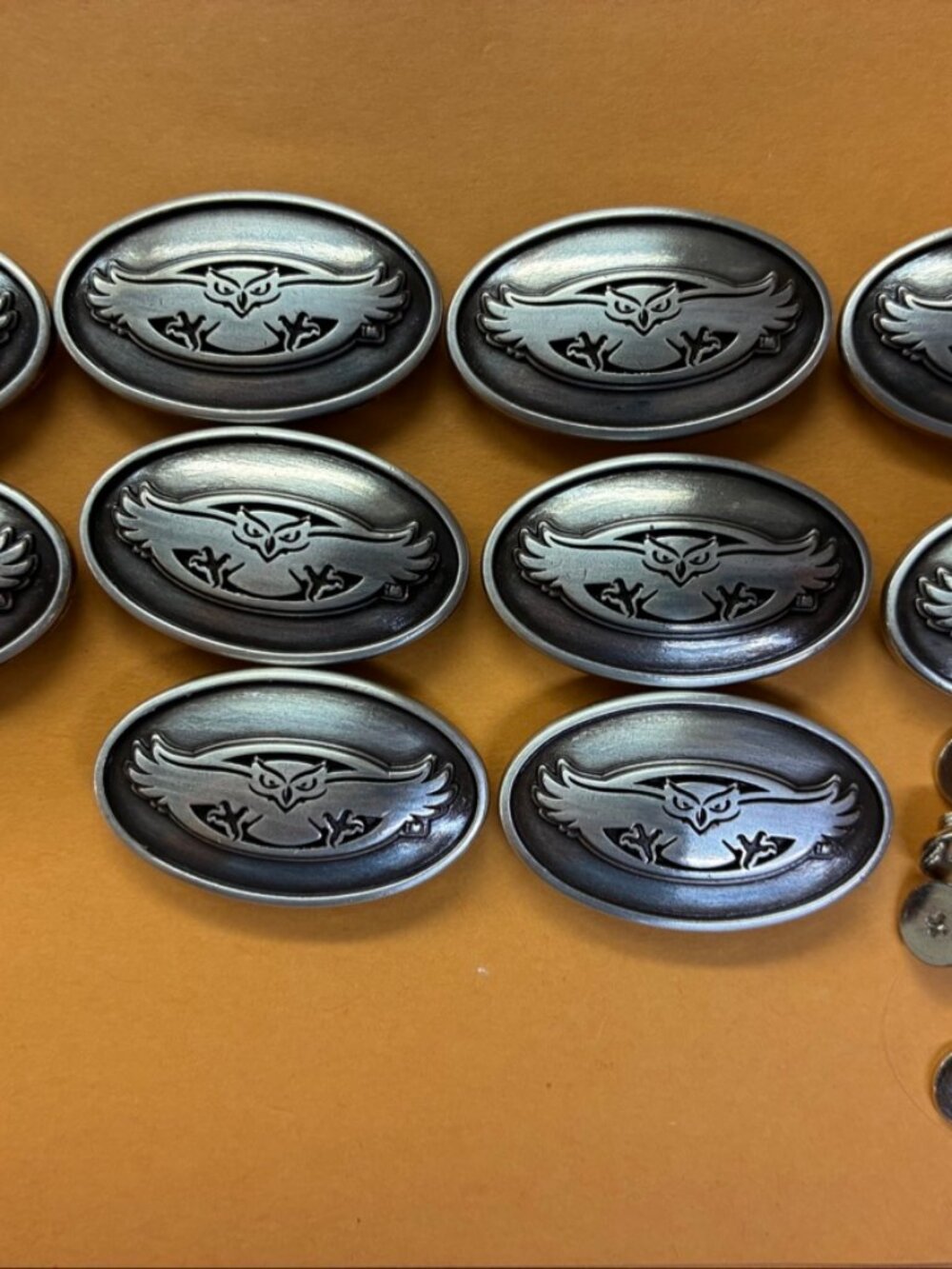 Lot Of 10 Florida Atlantic University Conchos With Screws - 1 1/4 Inch Owl